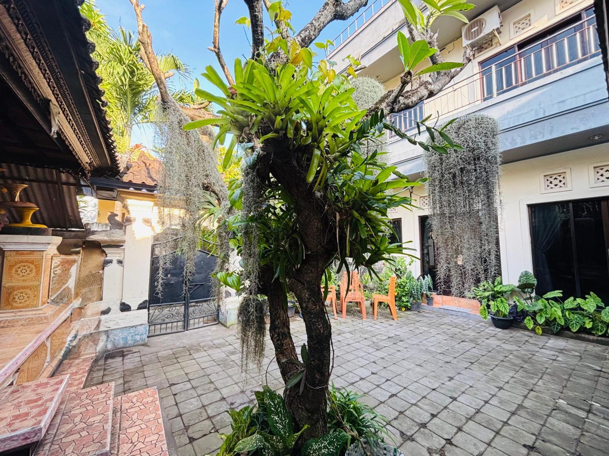 Mama Mega Homestay Pesanggaran Exterior foto